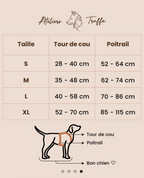 Harnais lagon en velours